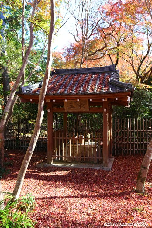 ▌京都賞楓▌♥蓮華寺♥小景卻意外讓人驚豔的楓葉美景