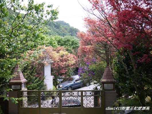 ♥ 迷人的四月楓紅 ♥ 陽明山台北奧萬大