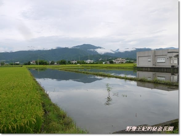 宜蘭【春不老驛站】民宿˙坐擁美景的包棟新體驗