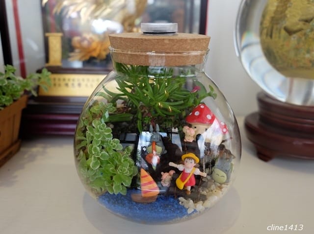 ▌宜蘭新景點▌療癒又有趣的♥多肉王國♥親手DIY盆栽好好玩! 親子DIY/親子景點/雨天備案好去處