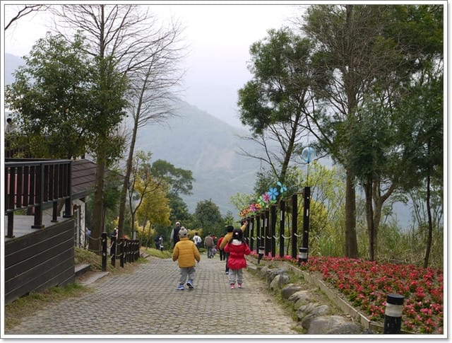 【桃園景點】看見綠光˙發現幸福綠光森林