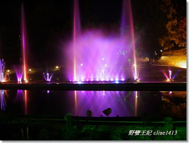 ▌南投清境▌夜晚比白天更美麗的[清境小瑞士]˙夜間水舞