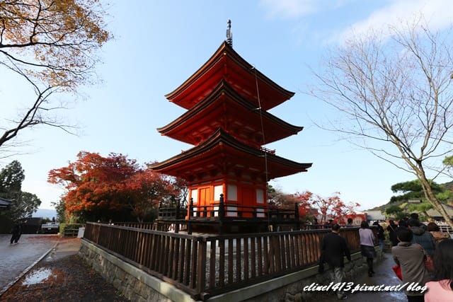 ▌清水寺 ▌京都賞楓必訪景點♥清水寺♥絕美夜楓!京阪賞楓自由行行程分享By陽光男孩