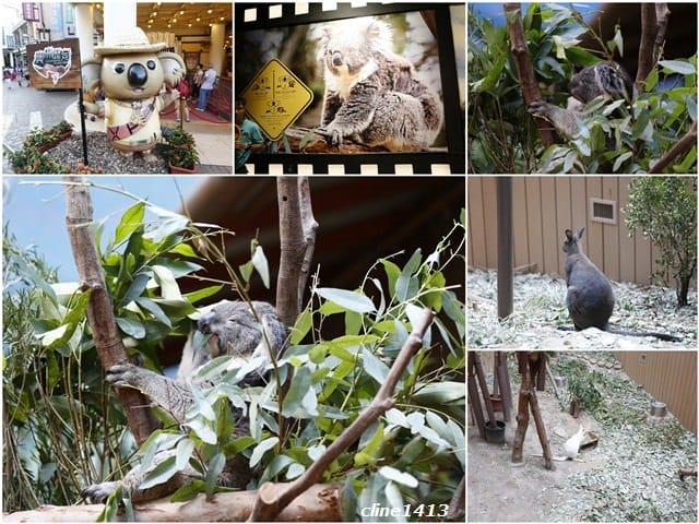 ▌2016香港親子行▌♥香港海洋公園Ocean Park Hong Kong ♥三天兩夜精彩行程分享(海洋公園夏水禮、海綿寶寶夏水派對)