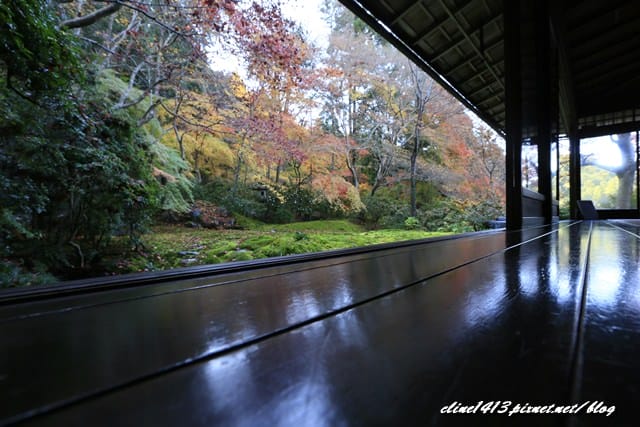 ▌京都賞楓▌京都賞楓名所♥瑠璃光院♥絕美夢幻的紅葉美景by陽光男孩