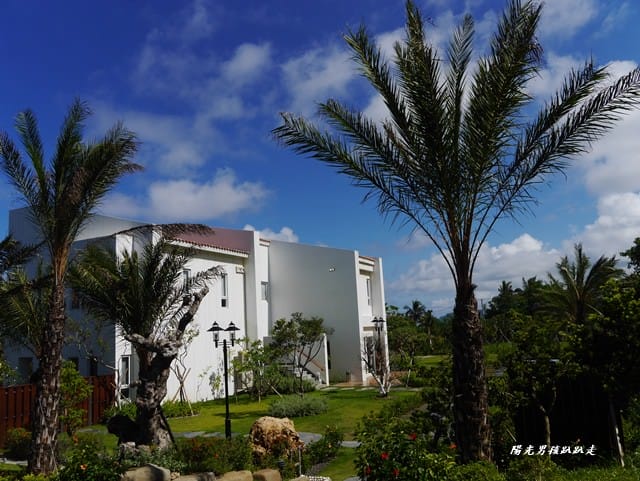 P3140730.JPG