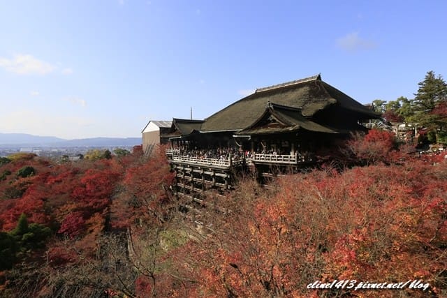 ▌清水寺 ▌京都賞楓必訪景點♥清水寺♥絕美夜楓!京阪賞楓自由行行程分享By陽光男孩