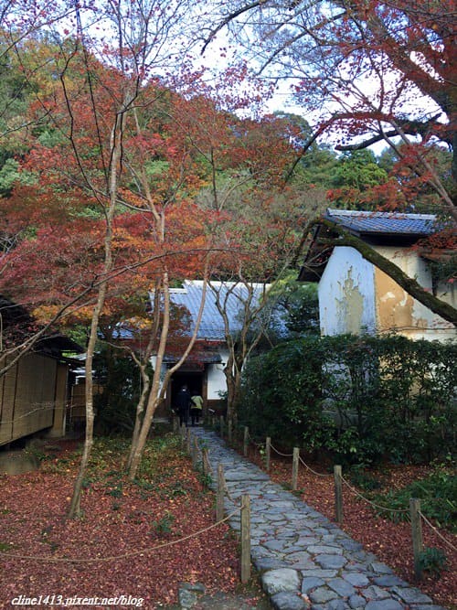 ▌京都賞楓▌♥蓮華寺♥小景卻意外讓人驚豔的楓葉美景