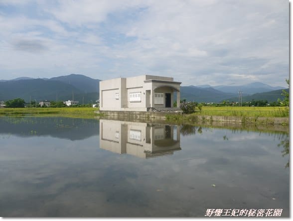 【推薦】令人難忘的田園美景~宜蘭【春不老驛站】民宿˙景觀篇