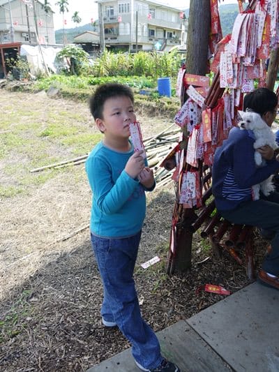 【宜蘭景點】安貴妃拜年♥ 宜蘭三星米香銀柳節♥大同鄉秘境牛鬥賞櫻 ♥