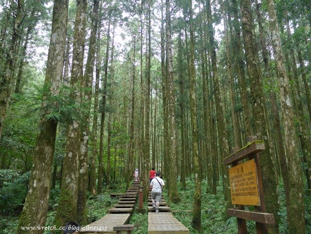 ▌宜蘭景點▌美如仙境的避暑盛地♥ 明池森林遊樂園區♥