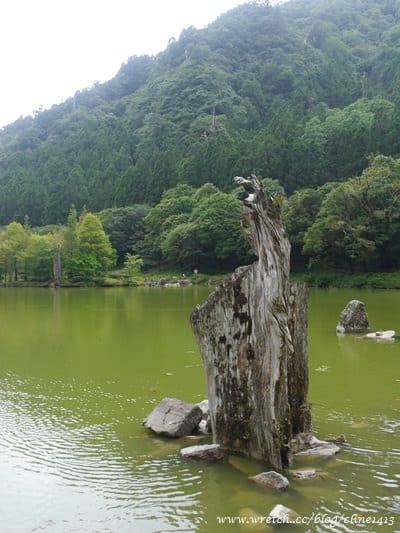 ▌宜蘭景點▌美如仙境的避暑盛地♥ 明池森林遊樂園區♥