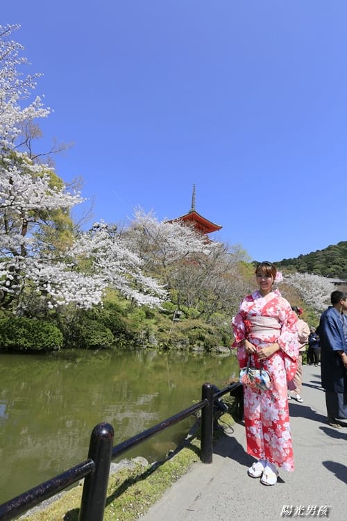 ▌京都。賞櫻▌♥京都十大賞櫻景點、賞櫻路線♥2016日本櫻花情報分享