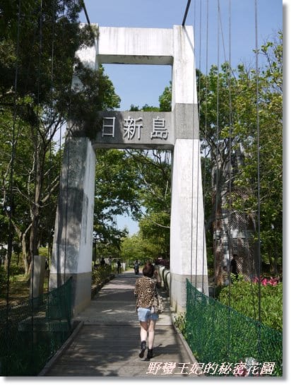 【苗栗景點】全台唯一湖中島~日新島水榭樓台島上咖啡