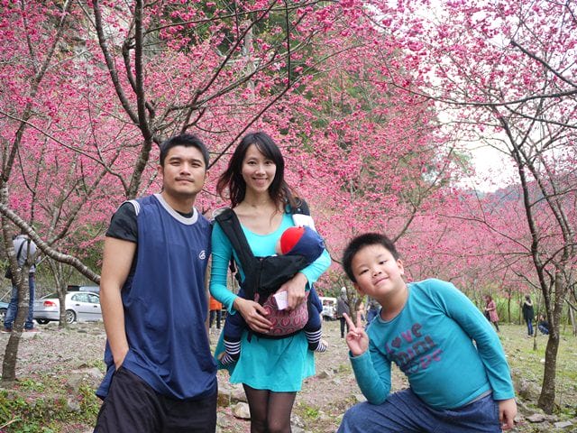 【宜蘭景點】安貴妃拜年♥ 宜蘭三星米香銀柳節♥大同鄉秘境牛鬥賞櫻 ♥