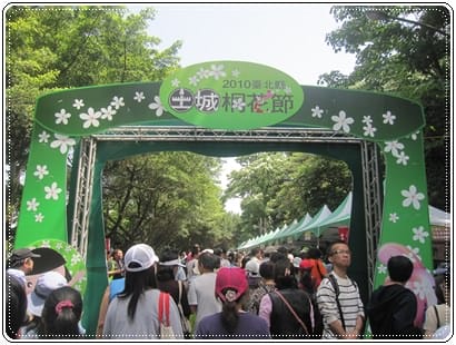 土城桐花季*遊*桐花 - 第3張圖 土城桐花季*遊*桐花