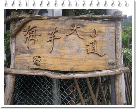 浪漫海芋季<苗榜>&海芋花賞 - 第6張圖 浪漫海芋季<苗榜>&海芋花賞