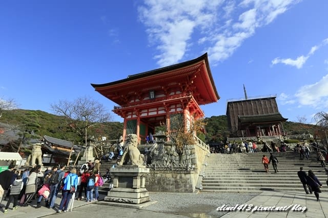 ▌清水寺 ▌京都賞楓必訪景點♥清水寺♥絕美夜楓!京阪賞楓自由行行程分享By陽光男孩