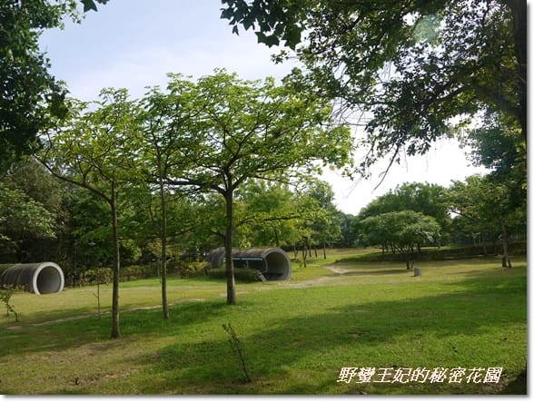 【苗栗景點】全台唯一湖中島~日新島水榭樓台島上咖啡