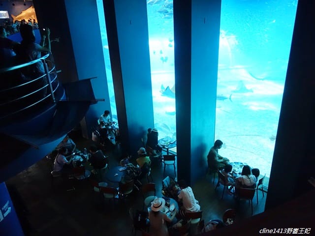 13.JPG