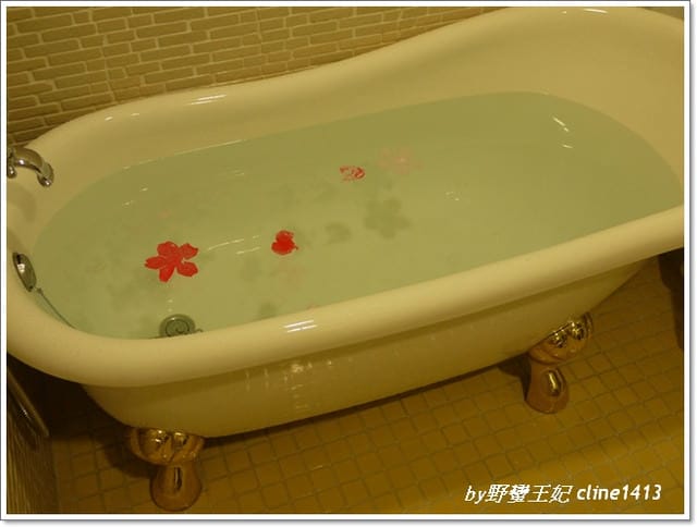 ▌花蓮民宿▌秋天˙我們相約在~花見幸福[景觀篇]
