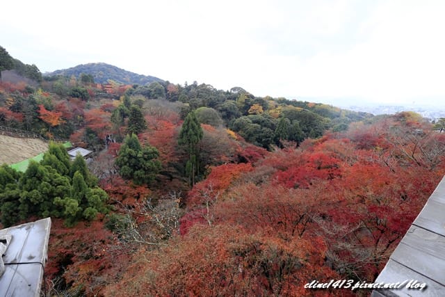 ▌清水寺 ▌京都賞楓必訪景點♥清水寺♥絕美夜楓!京阪賞楓自由行行程分享By陽光男孩