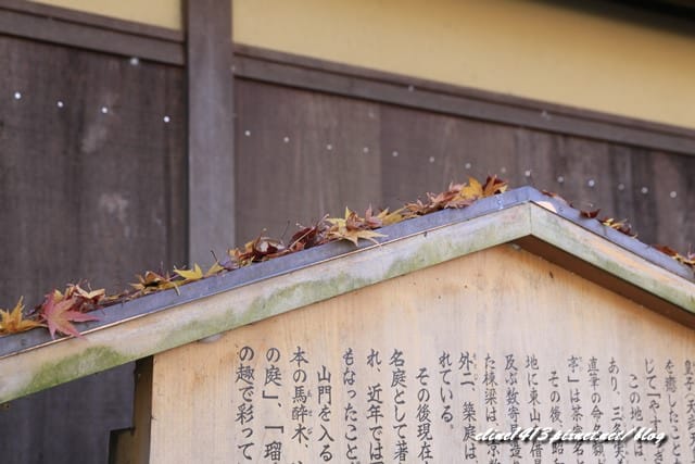 ▌京都賞楓▌京都賞楓名所♥瑠璃光院♥絕美夢幻的紅葉美景by陽光男孩