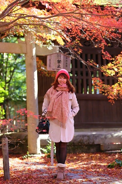 ▌京都賞楓▌♥蓮華寺♥小景卻意外讓人驚豔的楓葉美景
