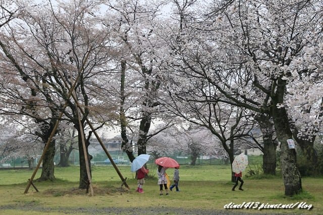 _MG_8375 _MG_8375