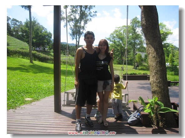 ▌苗栗景點▌仲夏*幸福薰衣草森林之旅[明德店]
