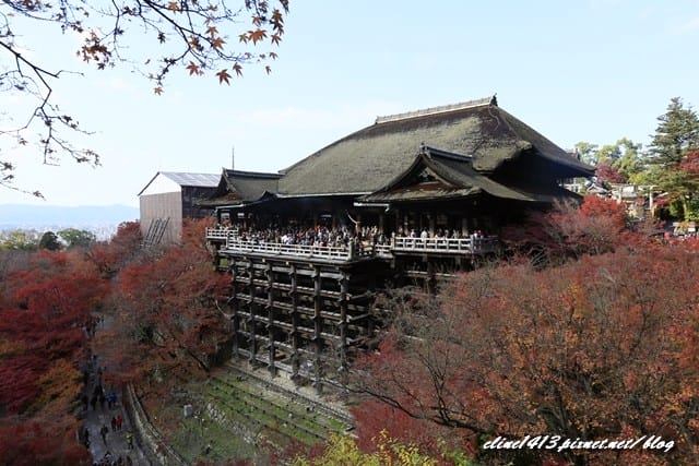 ▌清水寺 ▌京都賞楓必訪景點♥清水寺♥絕美夜楓!京阪賞楓自由行行程分享By陽光男孩