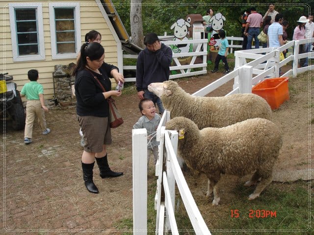 【桃園景點】看見綠光˙發現幸福綠光森林