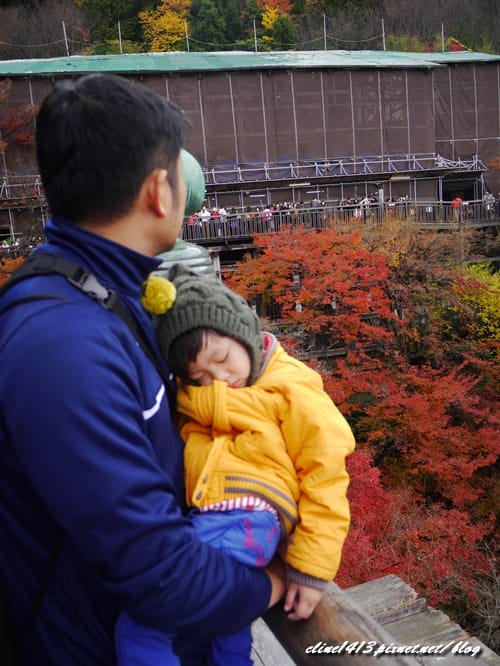 ▌清水寺 ▌京都賞楓必訪景點♥清水寺♥絕美夜楓!京阪賞楓自由行行程分享By陽光男孩