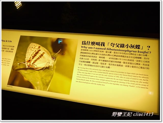 ▌宜蘭景點▌今夏最夯的奇特建築~蘭陽博物館