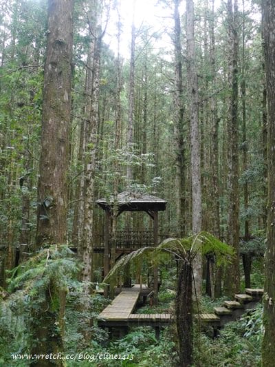 ▌宜蘭景點▌美如仙境的避暑盛地♥ 明池森林遊樂園區♥