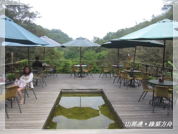 ▌苗栗景點 ▌我在森林綠海!山那邊*綠葉方舟