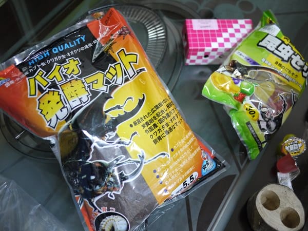 ▌三寶媽碎碎念▌男子舍監的辛酸誰人知?(我與甲蟲的愛恨情仇)