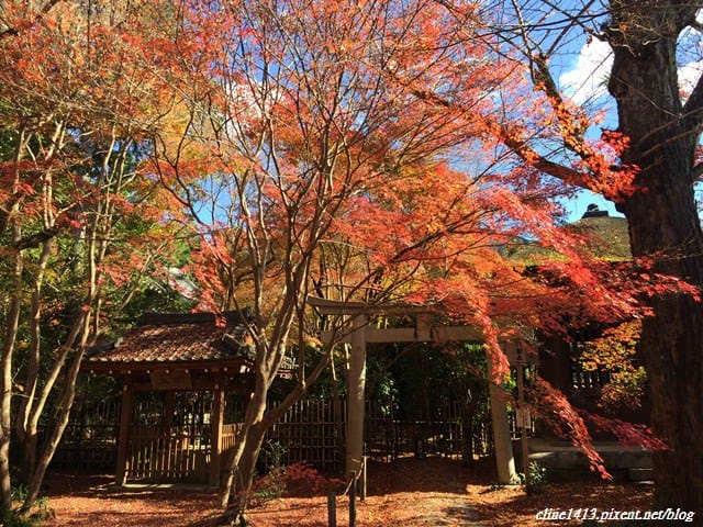 ▌京都賞楓▌♥蓮華寺♥小景卻意外讓人驚豔的楓葉美景
