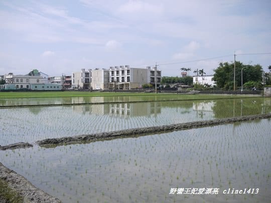 ▌宜蘭民宿▌讓女孩們尖叫的超夢幻民宿♥ 宜蘭聖荷緹渡假城堡♥