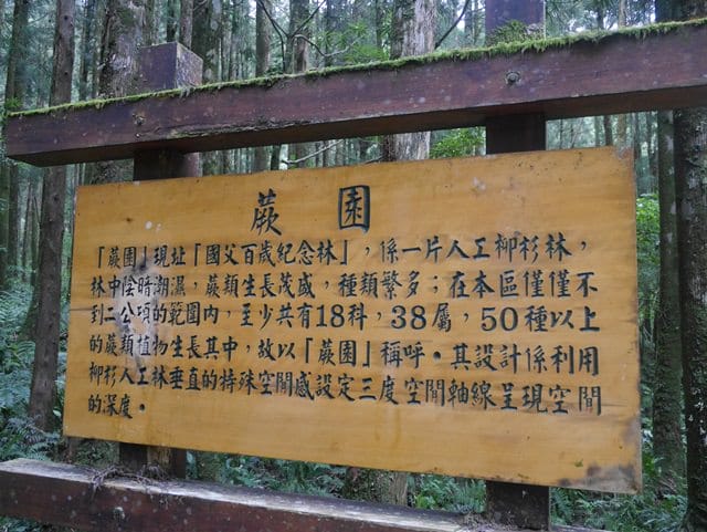 ▌宜蘭景點▌美如仙境的避暑盛地♥ 明池森林遊樂園區♥