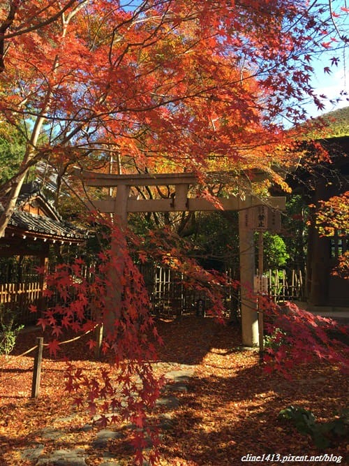 ▌京都賞楓▌♥蓮華寺♥小景卻意外讓人驚豔的楓葉美景