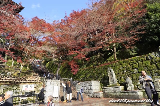 ▌清水寺 ▌京都賞楓必訪景點♥清水寺♥絕美夜楓!京阪賞楓自由行行程分享By陽光男孩