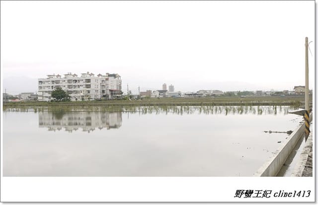 ▌羅東景點▌清幽如畫~羅東林業文化園區