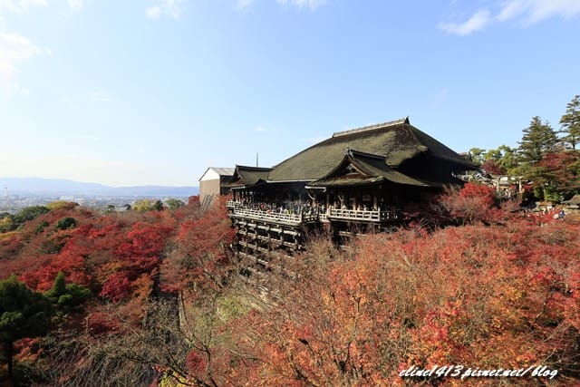 ▌清水寺 ▌京都賞楓必訪景點♥清水寺♥絕美夜楓!京阪賞楓自由行行程分享By陽光男孩