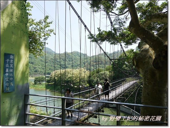 【苗栗景點】全台唯一湖中島~日新島水榭樓台島上咖啡