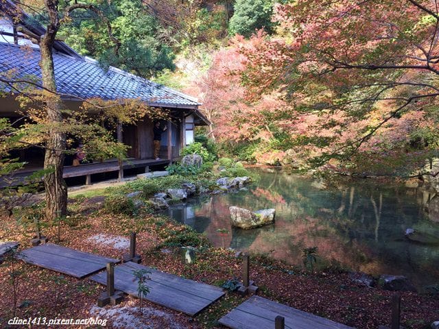 ▌京都賞楓▌♥蓮華寺♥小景卻意外讓人驚豔的楓葉美景