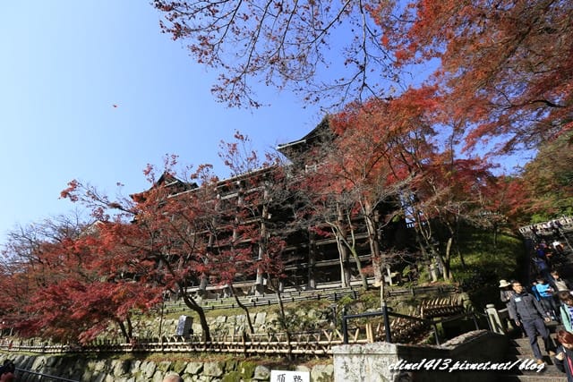 ▌清水寺 ▌京都賞楓必訪景點♥清水寺♥絕美夜楓!京阪賞楓自由行行程分享By陽光男孩