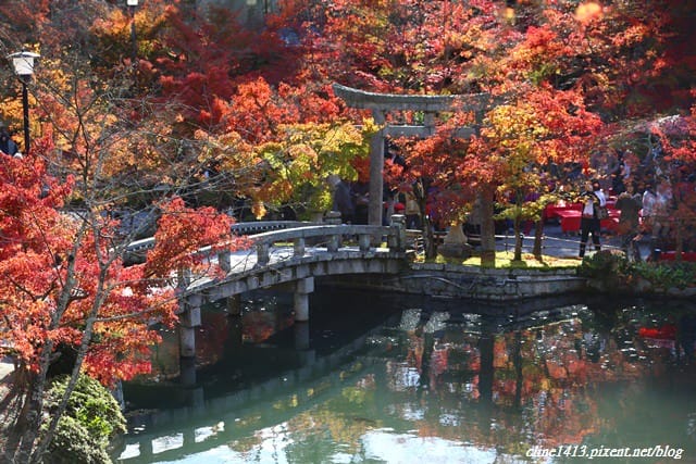 ▌京都賞楓▌必訪名所♥永觀堂♥日楓、夜楓都很迷人