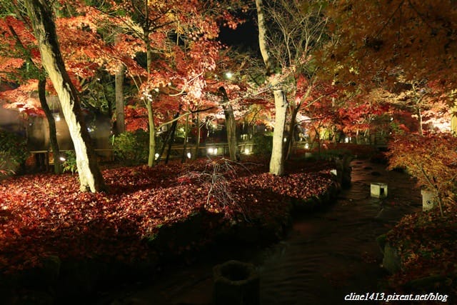 ▌京都賞楓▌必訪名所♥永觀堂♥日楓、夜楓都很迷人