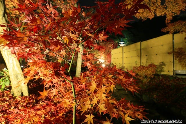 ▌京都賞楓▌必訪名所♥永觀堂♥日楓、夜楓都很迷人